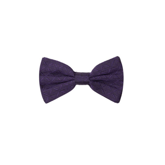 Dolce & Gabbana Purple Silk Ties & Bowty